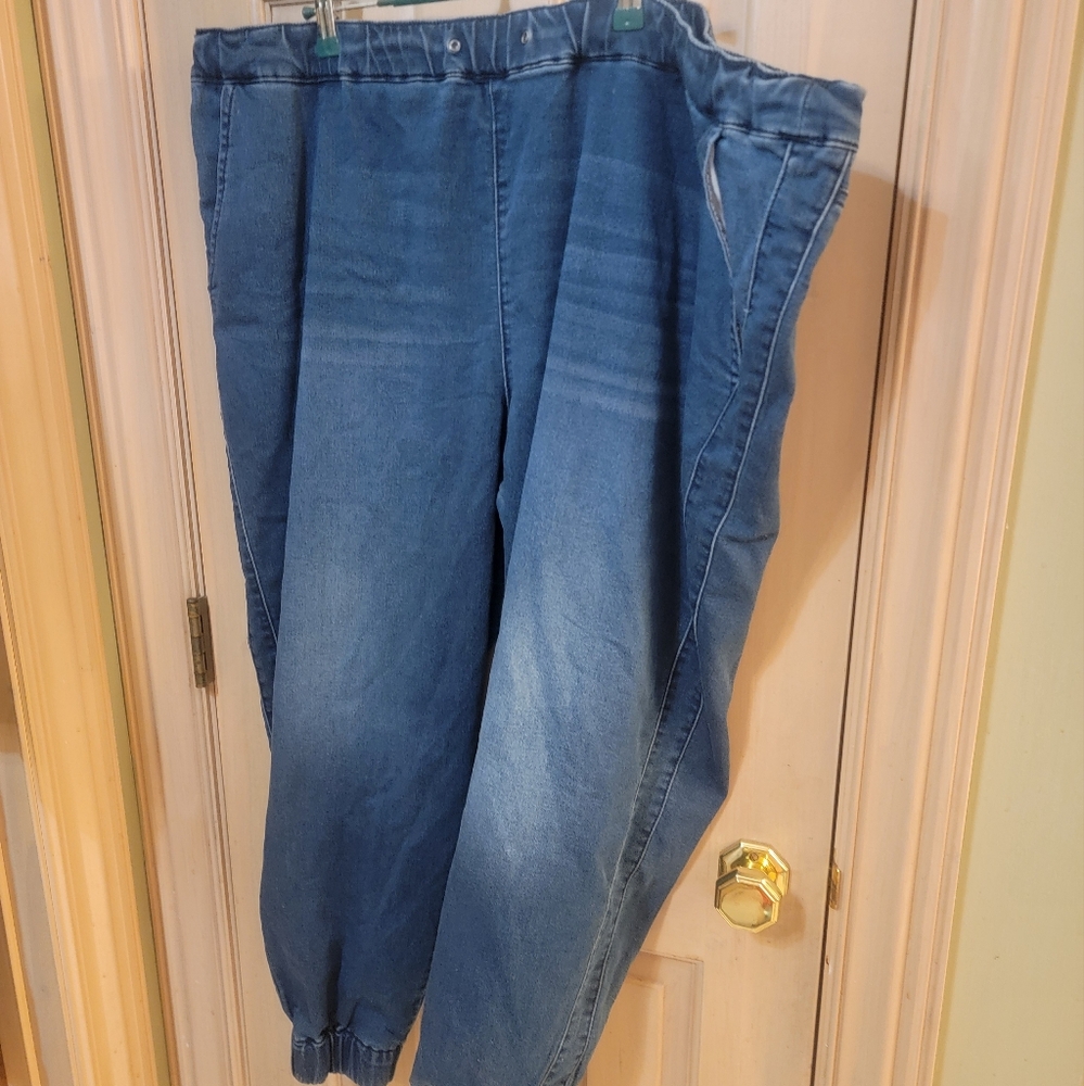 Womens Plus SZ 3X Skinny Girl Ankle Length Jogger Type Jeans